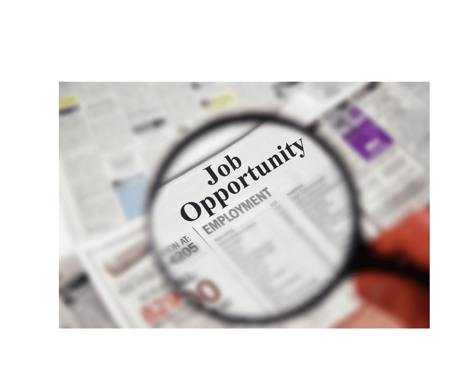 Mastering the Job Search & Beyond